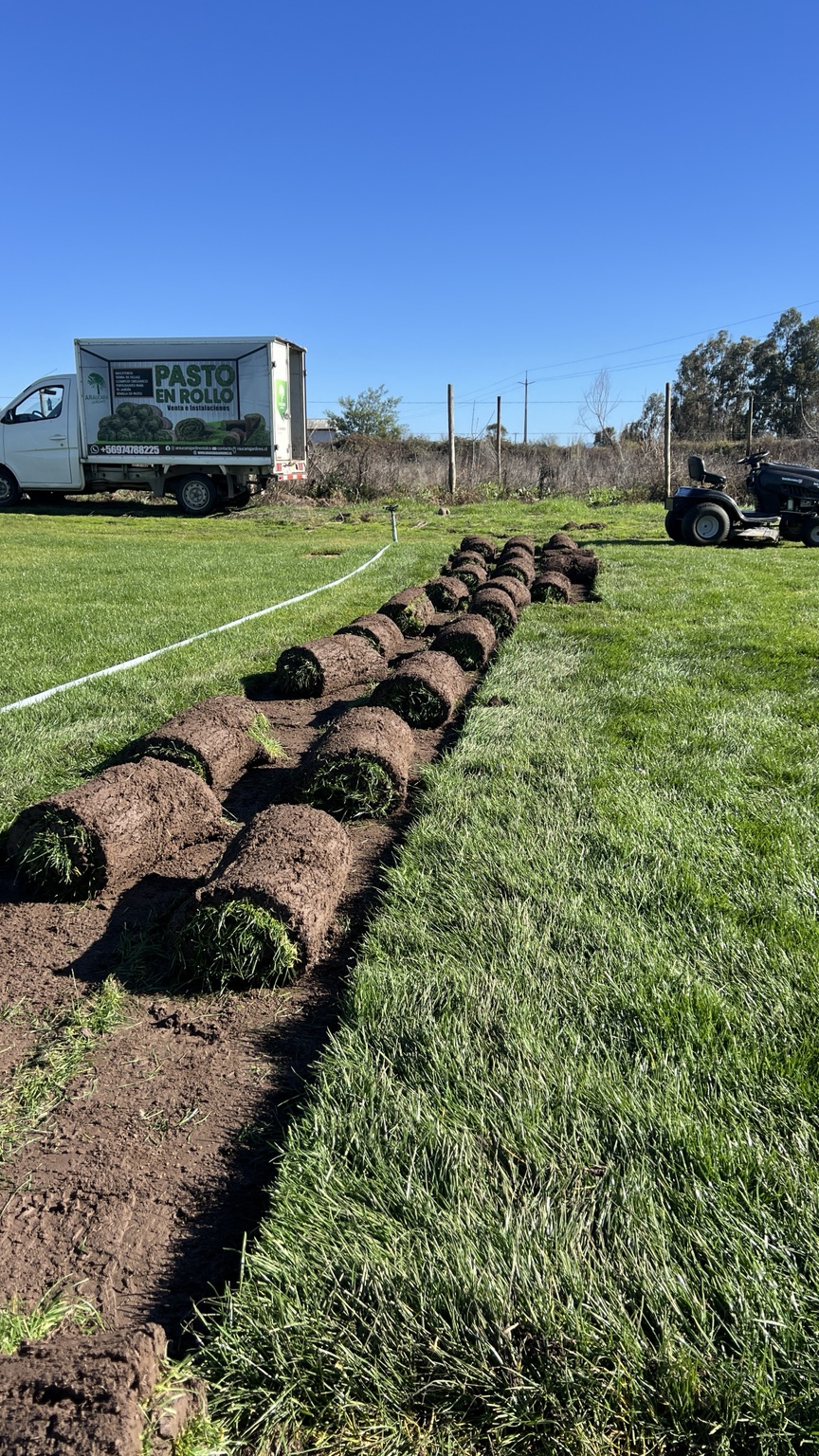 Producción de pasto en rollo con rollos cosechados y camión