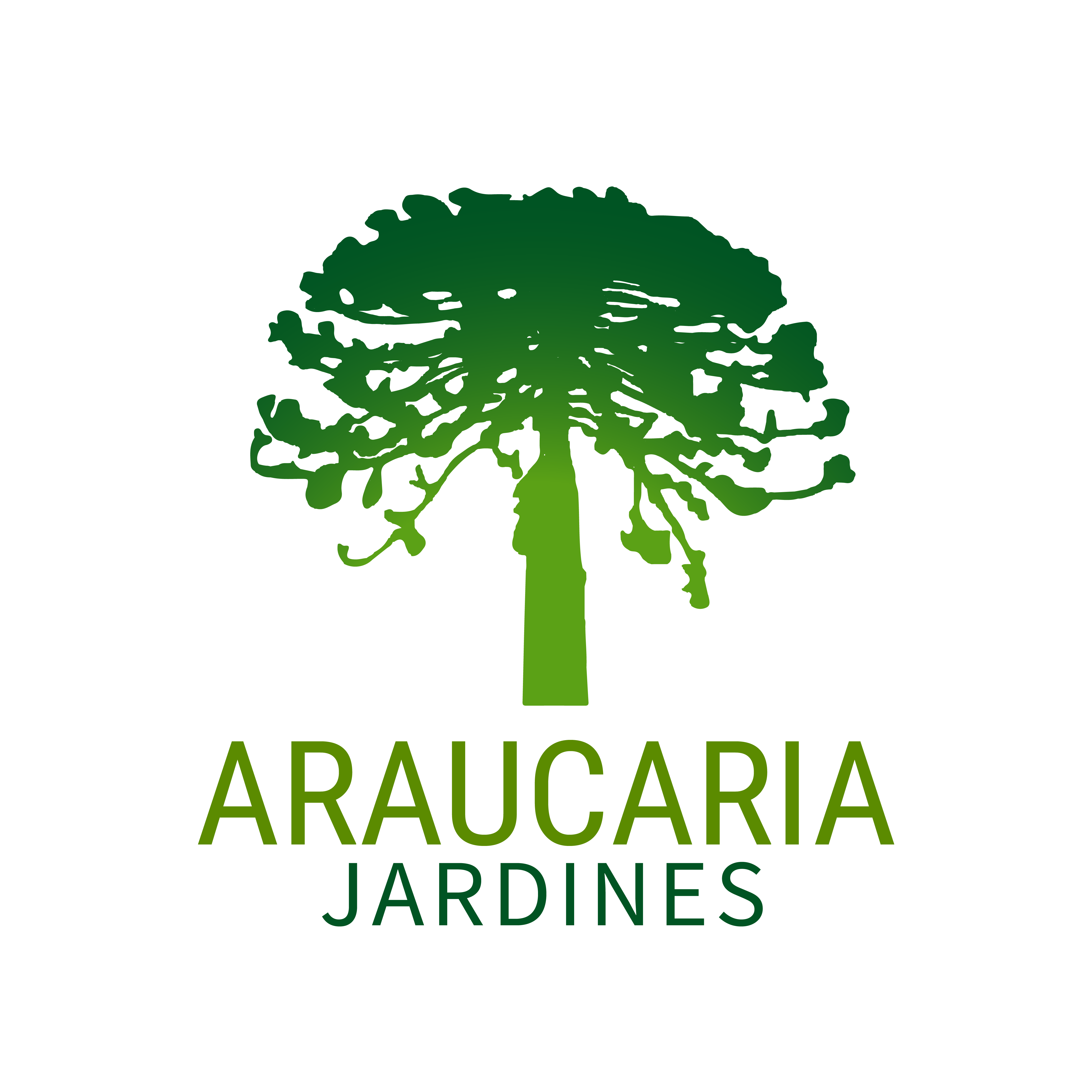 Araucaria Jardines